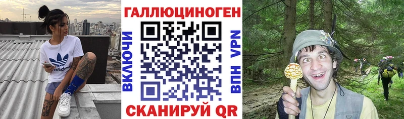 MEGA как зайти Ханты-Мансийск Псилоцибиновые грибы прущие грибы